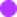 Vector
