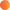 Vector