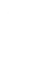 Vector